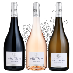 gamme_haut_802382654