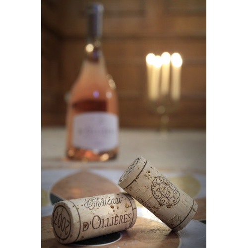 chateau_dollieres_1