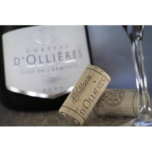 chateau_dollieres_19