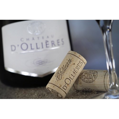 chateau_dollieres_19_2