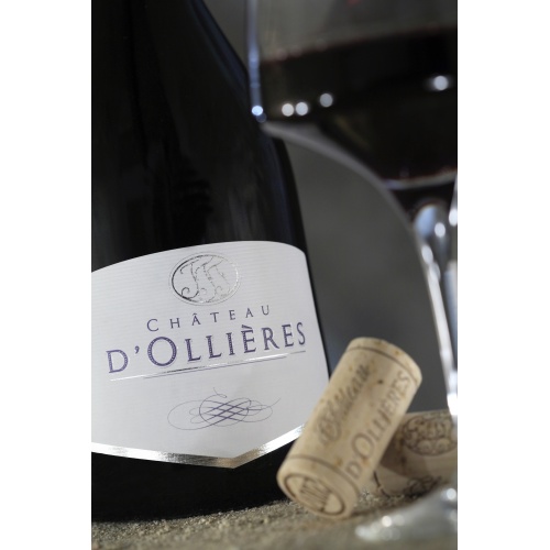 chateau_dollieres_20_2