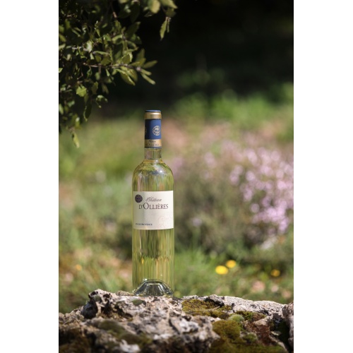 hervefabrephotosbouteillesollieres2025hd-014_2