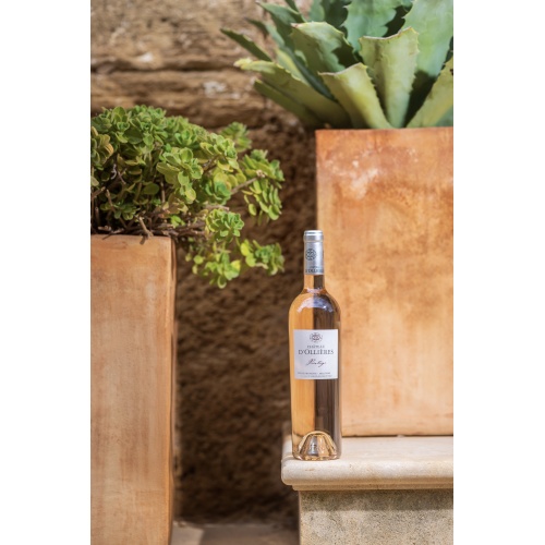 hervefabrephotosbouteillesollieres2025hd-032_2